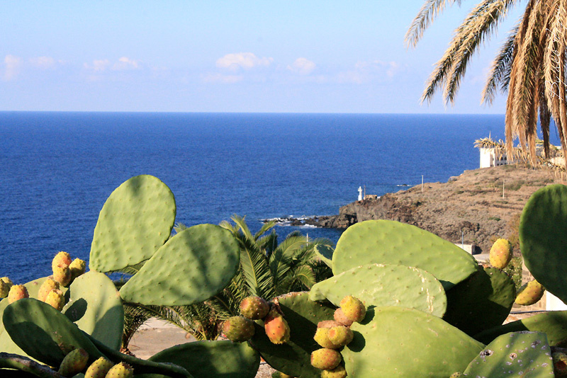 Album de voyage [part 3] : Pantelleria épisode 4 (fin)