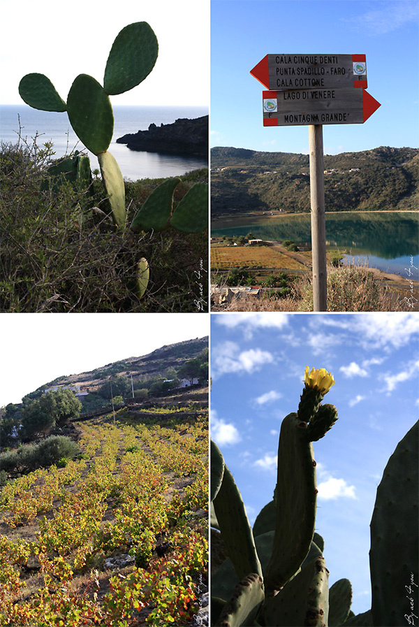 Album de voyage [part 3] : Pantelleria épisode 3 et blabla...