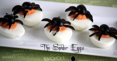Spider eggs