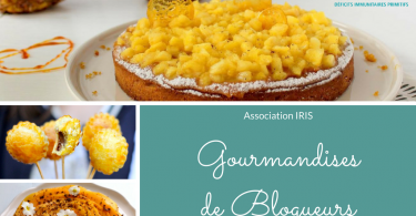 Gourmandises de Blogueurs pour l'association IRIS
