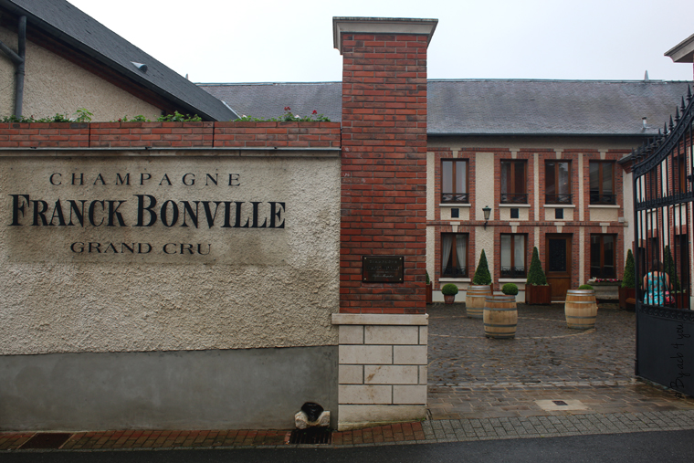 A la découverte du Champagne Terroir Franck Bonville