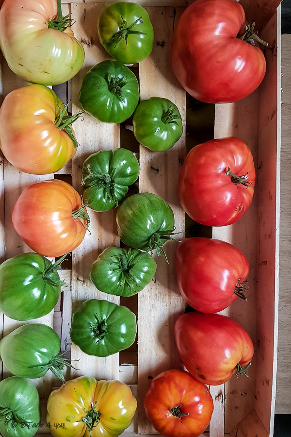 Pickles de tomates vertes ou tomates lactofermentées